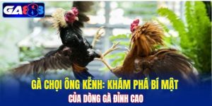 Gà chọi Ông Kễnh