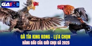 Gà Tía King Kong