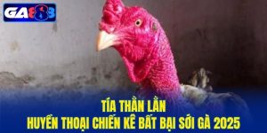 Tía Thằn Lằn
