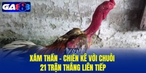 Xám Thần